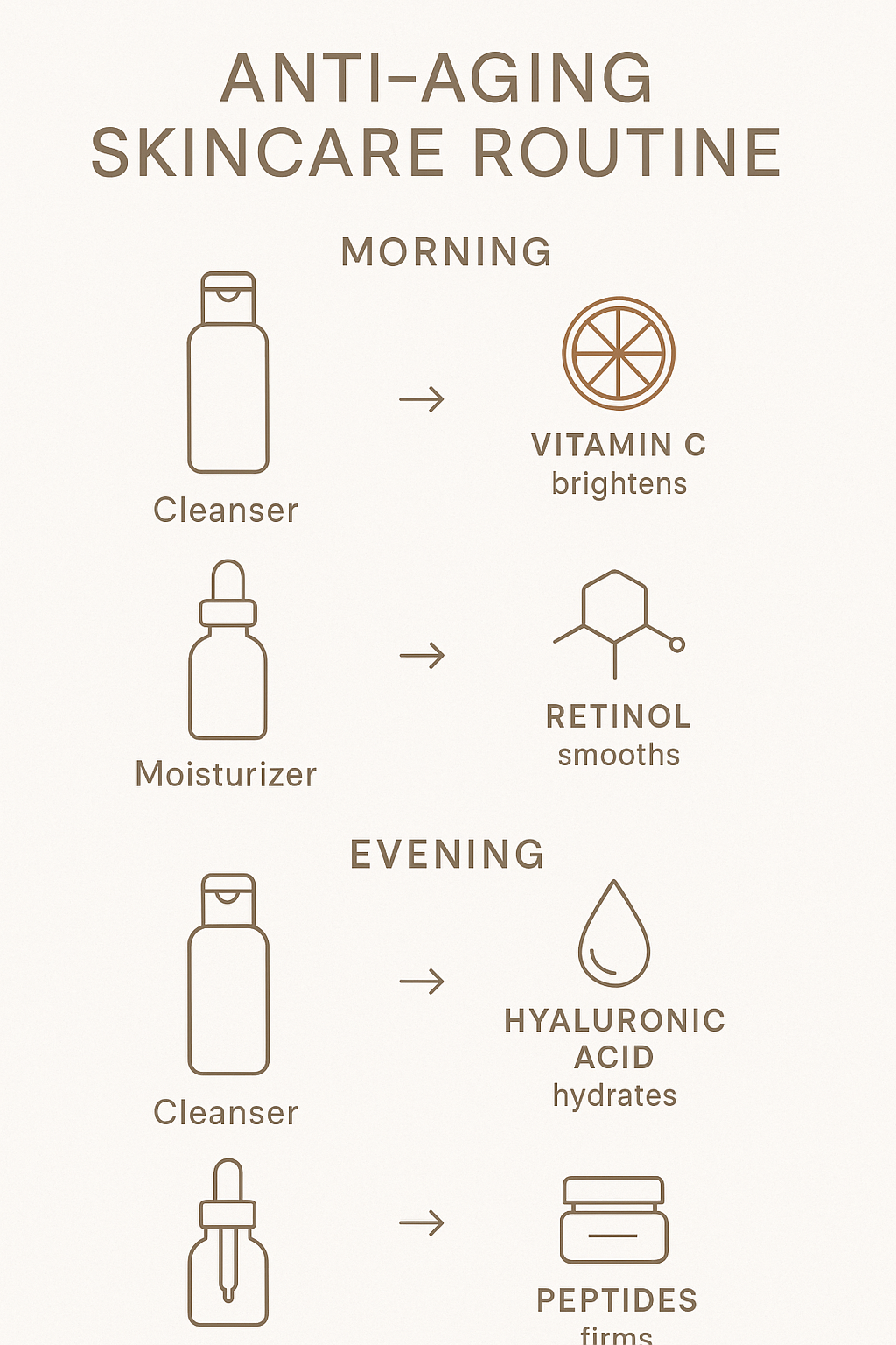 Anti-aging skincare routine showing morning and evening product application sequence with key ingredients like retinol, vitamin C, hyaluronic acid, peptides, and SPF, along with their specific benefits and optimal application times - anti ageing skincare infographic