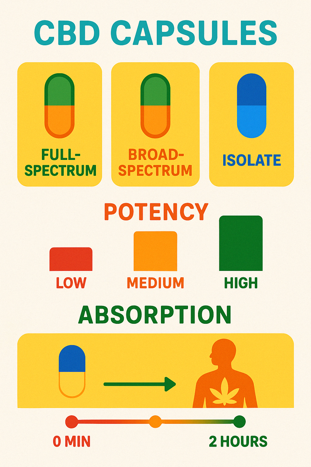 CBD capsules comparison showing different types, potency levels, and effects on the body with absorption timeline - Buy CBD capsules USA infographic 